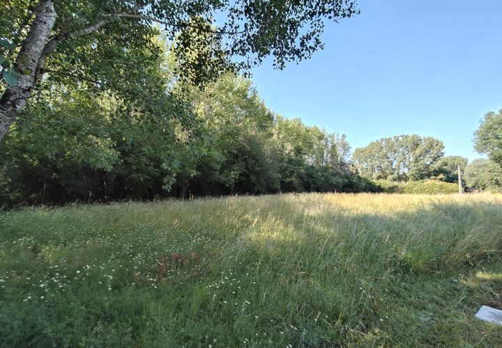 Terra a Camarsac, Gironde, Camarsac - € 171.000 | Ref: MB_Camarsac - foto 1