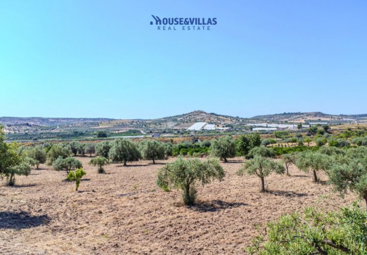 Terra a Noto, Siracusa, Noto - € 95.000 | Ref: 1314 - foto 1