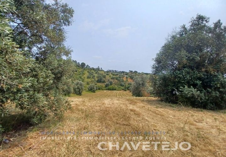 Terreno en Tomar, Santarem, Tomar - € 72.000 | Ref: 610/26 - photo 1