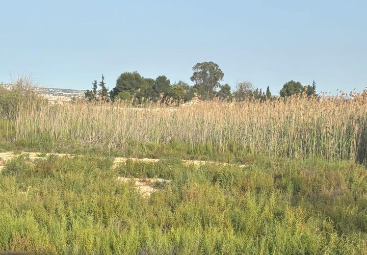Terra a Ceuti, Murcia, Ceuti - € 40.000 | Ref: EXP14658/8930 - foto 1