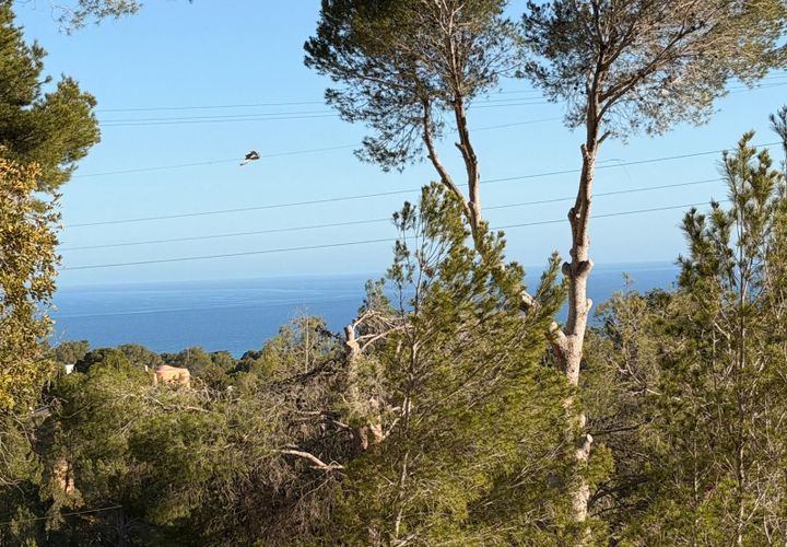 Terreno en Altea, Alicante, Altea - € 179.000 | Ref: P 029 - photo 1