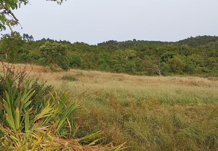 Landejendom i Odemira, Beja, Odemira - € 450.000 | Ref: G-614 - foto 1