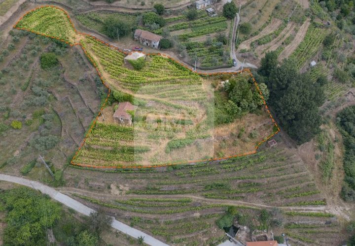 Farm i Vila Real, Vila Real, Vila Real - € 80.000 | Ref: MAS_1173 - foto 1