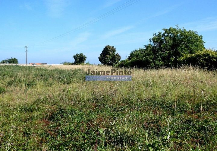 Helårsgrund i Aveiro, Aveiro, Aveiro - € 1.550.000 | Ref: 9924_T - foto 1