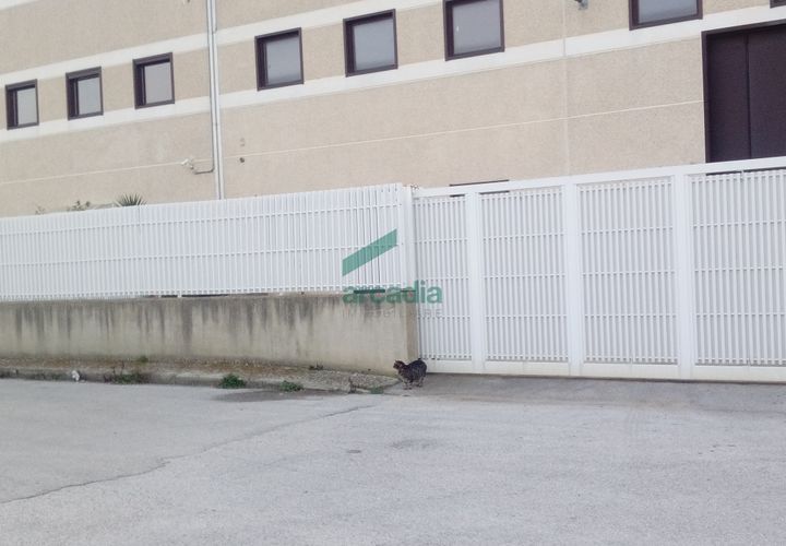 L'establiment comercial a Modugno, Bari, Modugno - € 1.100/mes | Ref: 12053/2026 - foto 1