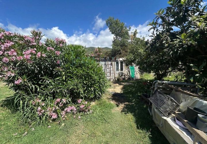 Terra a Albenga, Savona, Albenga - € 130.000 | Ref: 1047 - foto 1