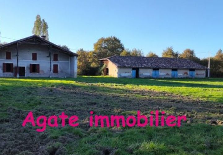 Villa i Bazas, Gironde, Bazas - € 176 000 | Ref: U_9835 - foto 1