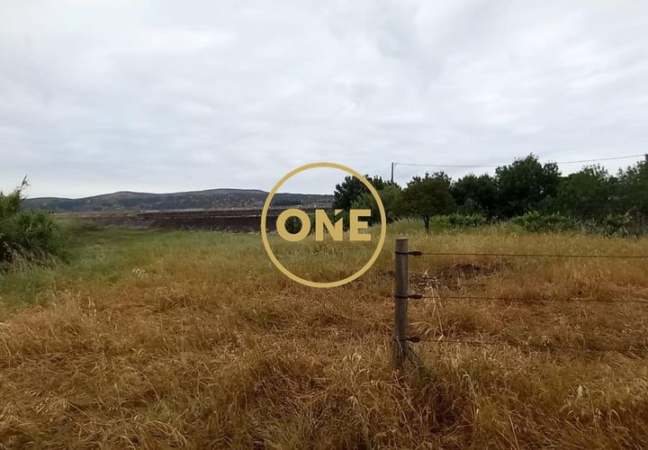 Terra a Chamusca, Santarem, Chamusca - € 110.000 | Ref: ONE501995-14 - foto 1
