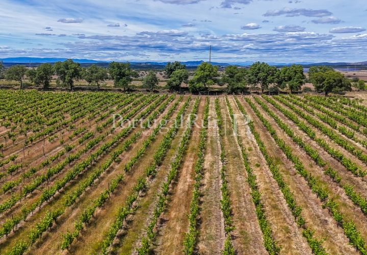 Farm i Nisa, Portalegre, Nisa - € 750.000 | Ref: FG1177 - foto 1