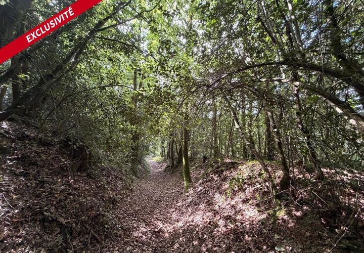 Helårsgrund i Molac, Morbihan, Molac - € 24.000 | Ref: 205191 - foto 1