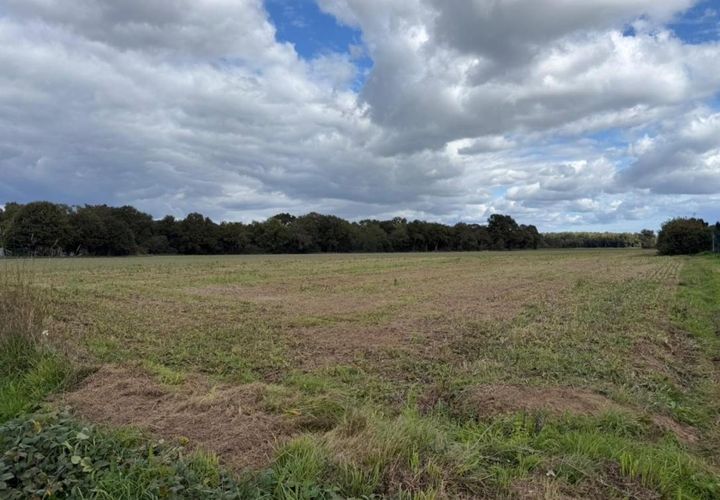 Tomt i Malestroit, Morbihan, Malestroit - € 34 000 | Ref: 204822 - foto 1