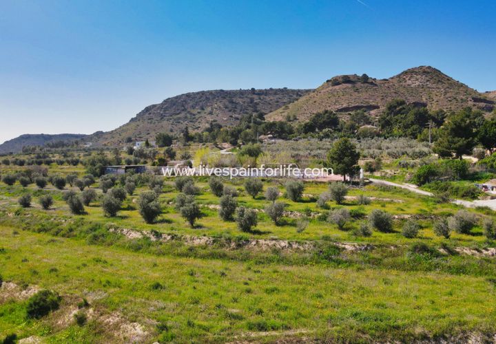 Terra a Aspe, Alicante, Aspe - € 80.000 | Ref: Asp Plot1 - foto 1