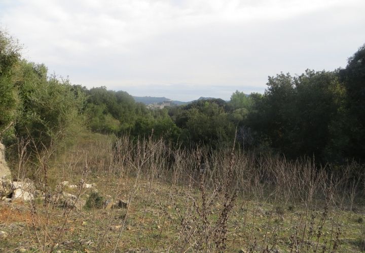 Helårsgrund i Arta, Mallorca, Arta - € 110.000 | Ref: 40703B - foto 1