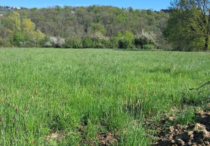 Terra a Cusset, Allier, Cusset - € 70.000 | Ref: 203466 - foto 1