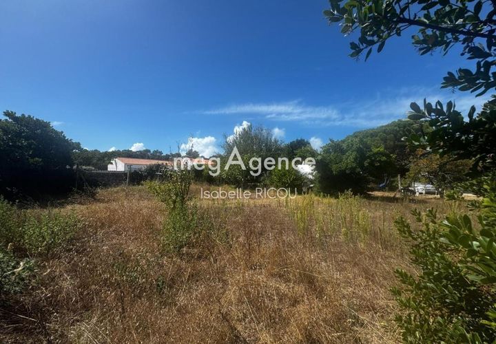 Terra a Dolus-d'Oleron, Charente-Maritime, Dolus-d'Oleron - € 255.000 | Ref: 202579 - foto 1