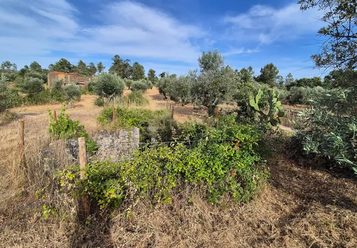 Helårsgrund i Escalos de Cima e Lousa, Castelo Branco, Escalos de Cima e Lousa - € 60.000 | Ref: C0434-01315 - foto 1