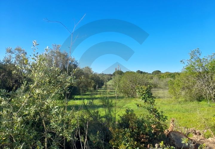 Helårsgrund i Olaia e Paco, Santarem, Olaia e Paco - € 35.000 | Ref: 1780-02921 - foto 1