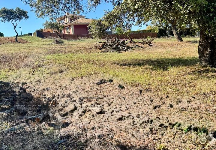 Terrain - Carrascal De Barregas, Salamanca, Carrascal De Barregas - € 19 500 | Réf : EXP14723/8930 - photo 1