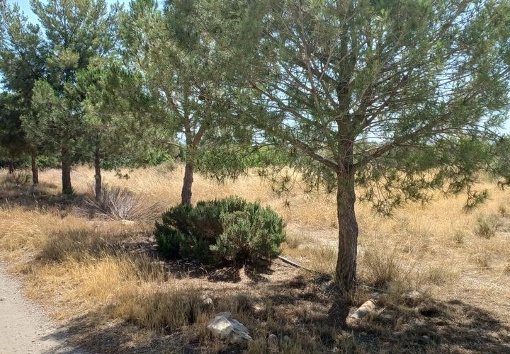Tomt i Rambla Grande, Almeria, Rambla Grande - € 58 000 | Ref: R22359 - foto 1