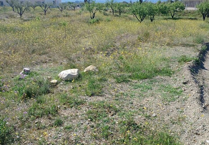 Terra a Rambla Grande, Almeria, Rambla Grande - € 28.000 | Ref: R22358 - foto 1