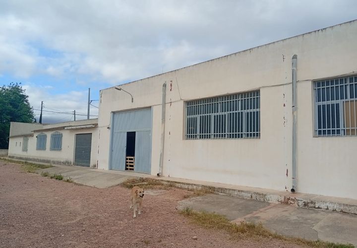Erhvervsejendom i Salinas, Alicante, Salinas - € 400.000 | Ref: P5513 - foto 1