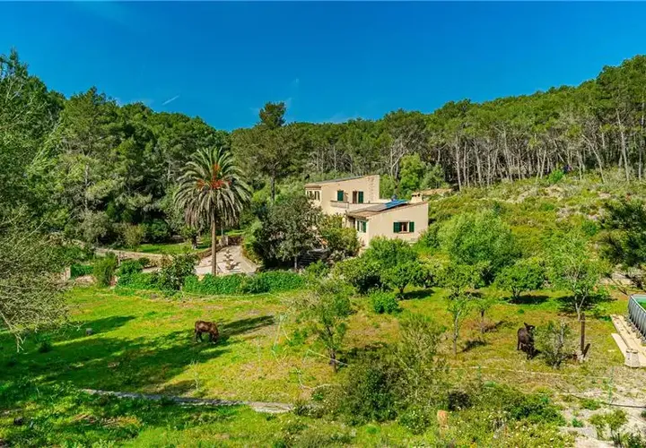 Landejendom i Llucmajor, Mallorca, Llucmajor - € 1.800.000 | Ref: 46702 - foto 1