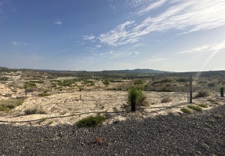 Terra a Torremendo, Alicante, Torremendo - € 175.000 | Ref: Ref-CW2064 - foto 1
