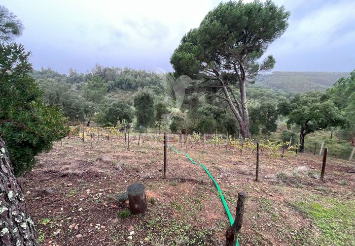 Farm hus i Abrantes, Santarem, Abrantes - € 60.000 | Ref: 056876 - foto 1