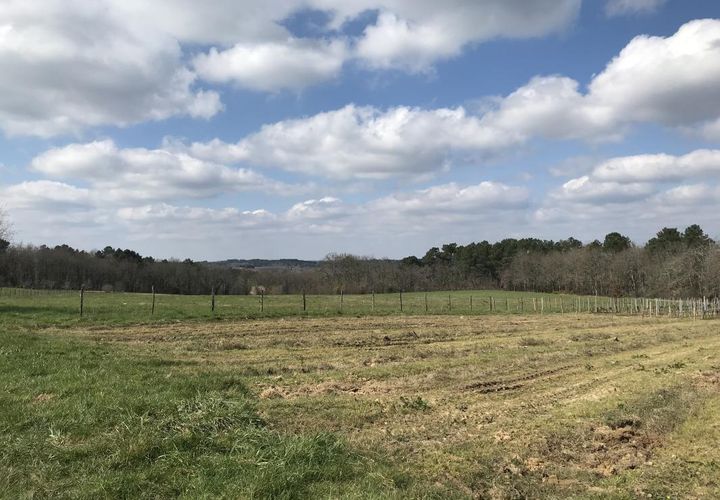 Terra a Eyraud-Crempse-Maurens, Dordogne, Eyraud-Crempse-Maurens - € 35.000 | Ref: BECF768 - foto 1