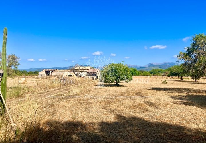Terra a Binissalem, Mallorca, Binissalem - € 880.000 | Ref: INC582 - foto 1