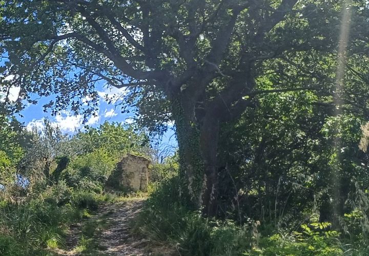 Landejendom i Massignano, Ascoli Piceno, Massignano - € 32.000 | Ref: cas2006 - foto 1