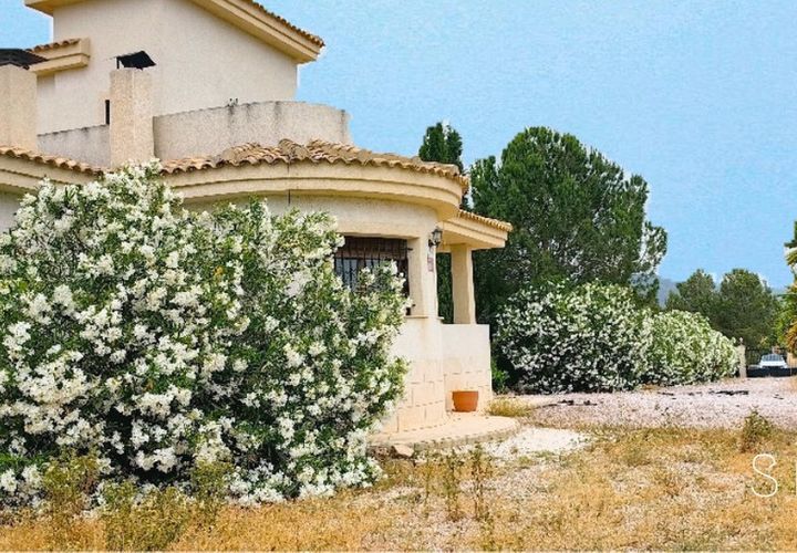 Villa i Pinoso, Alicante, Pinoso - € 375.000 | Ref: CSPX-85269 - foto 1