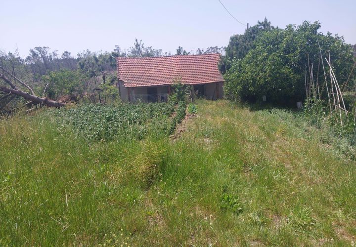 Helårsgrund i Leiria, Leiria, Leiria - € 120.000 | Ref: 1746-02856 - foto 1