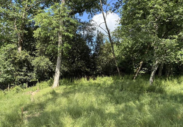Terra a Tresses, Gironde, Tresses - € 180.000 | Ref: KF-TRESSES10180 - foto 1