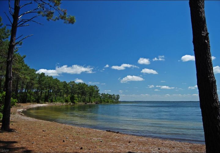 Terra a Hourtin, Gironde, Hourtin - € 219.000 | Ref: NP-1206-HOURTIN1 - foto 1