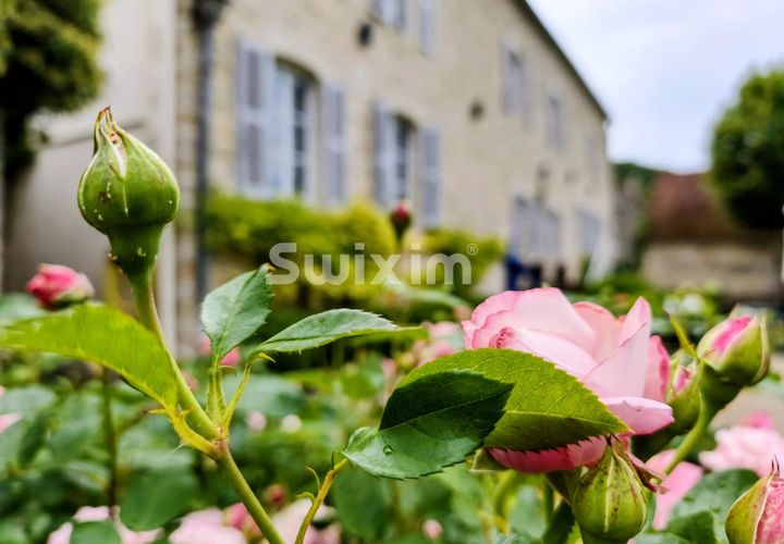 Herregård i Beaune, Cote-d'Or, Beaune - € 1 190 000 | Ref: 70777PP - foto 1