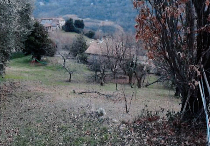 Terra a Tarzo, Treviso, Tarzo - € 80.000 | Ref: A.A. 388-20 - foto 1