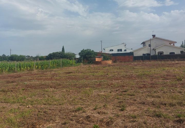 Tomt i Oliveira do Bairro, Aveiro, Oliveira do Bairro - € 87 500 | Ref: DRS_NL_0008/12758 - foto 1