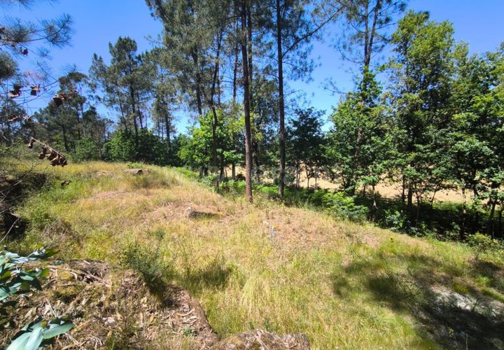 Helårsgrund i Barcelos, Braga, Barcelos - € 37.500 | Ref: 254260800 - foto 1
