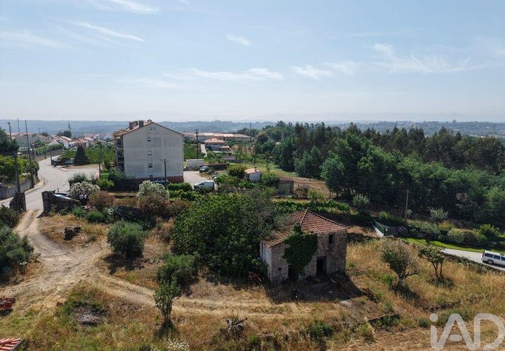 Terra a Santa Comba Dao, Viseu, Santa Comba Dao - € 75.000 | Ref: 950279 - foto 1