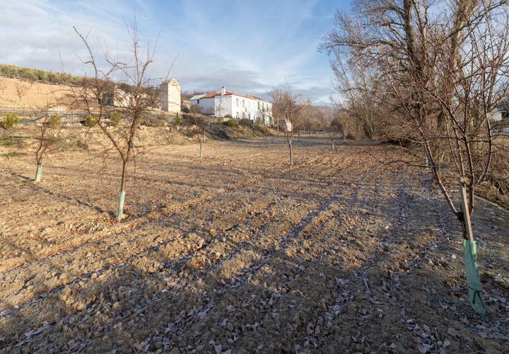 Cortijo i Pinar, Granada, Pinar - € 299 000 | Ref: E-01209/8251 - foto 1