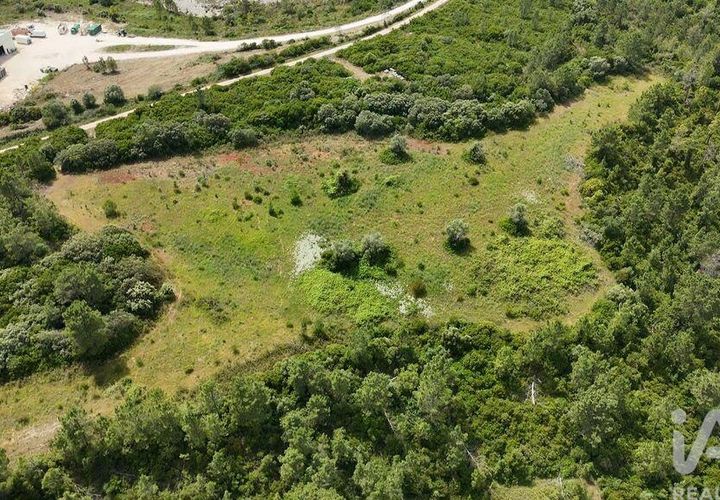 Terra a Rio Maior, Santarem, Rio Maior - € 160.000 | Ref: 942350 - foto 1