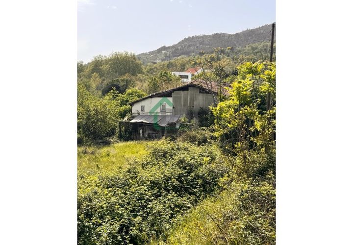 Farm i Boidobra, Castelo Branco, Boidobra - € 100.000 | Ref: DBJ1397/26 - foto 1