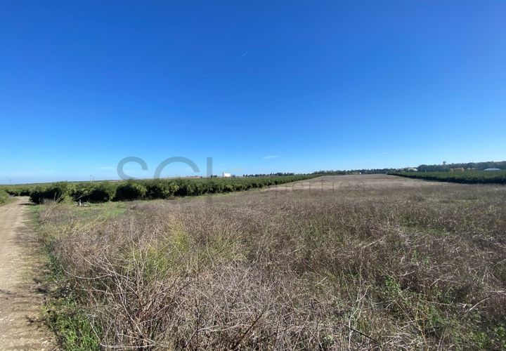 Terra em Beja, Beja, Beja - € 110.000 | Ref: 10192 - foto 1