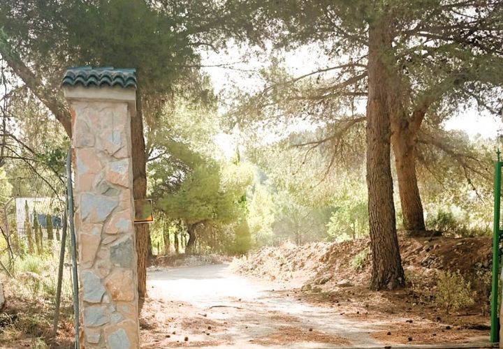 Landejendom i Petrer, Alicante, Petrer - € 250.000 | Ref: P5522 - foto 1