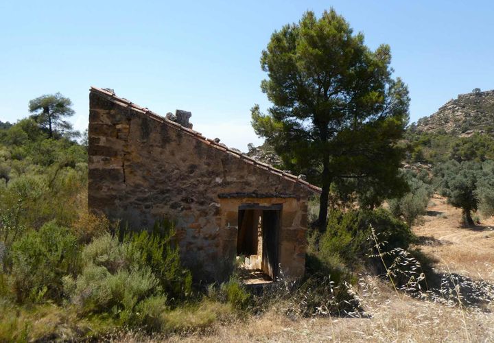 Finca i Maella, Zaragoza, Maella - € 37 000 | Ref: 1128 - foto 1