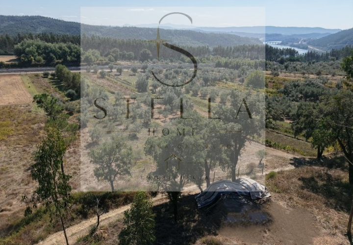 Terra a Mortagua, Viseu, Mortagua - € 35.000 | Ref: SH0060-2026 - foto 1