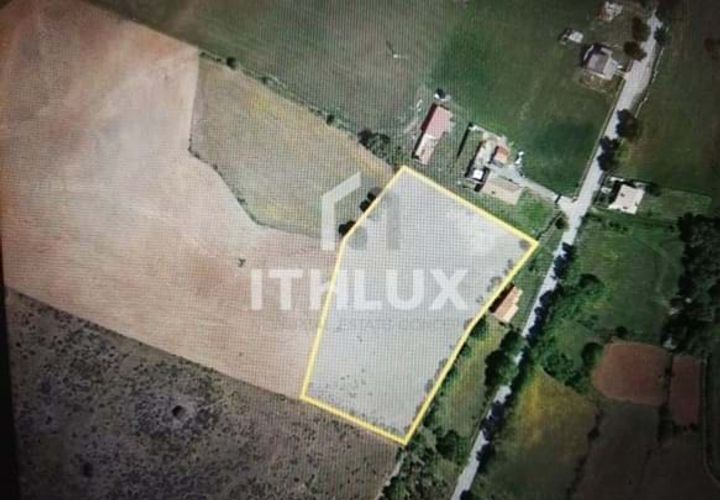Terra a Braganca, Braganca, Braganca - € 50.000 | Ref: ITH4436 - foto 1