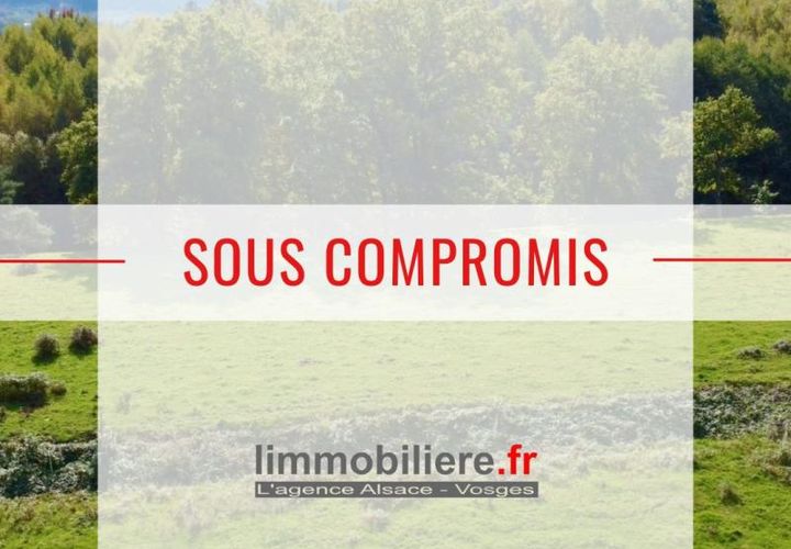 Terra a Taintrux, Vosges, Taintrux - € 18.500 | Ref: VT178-LIMMOBILIERE - foto 1