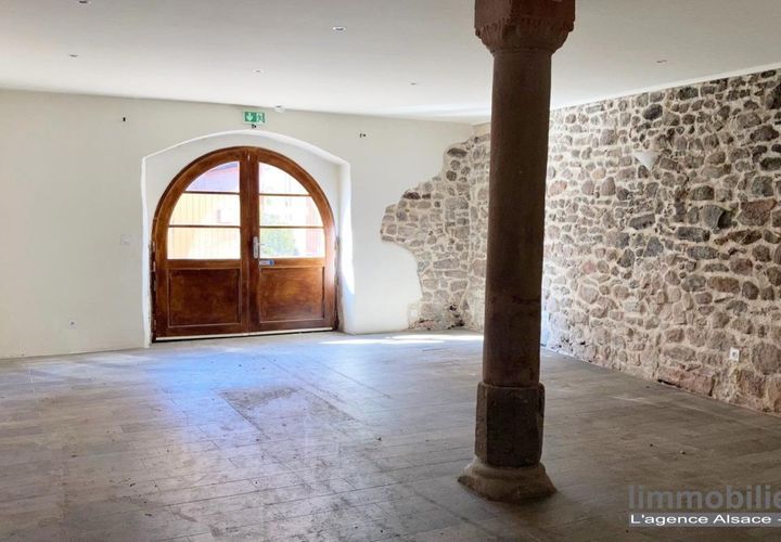 Erhvervsejendom i Rodern, Haut-Rhin, Rodern - € 169.000 | Ref: VP102-LIMMOBILIERE - foto 1